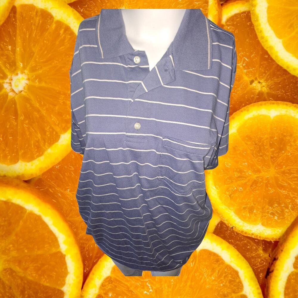 Saddlebred Blue Striped Easy‎ Care Polo Size Medium